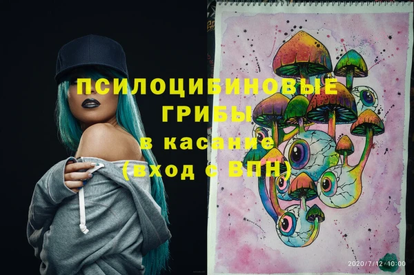 гашик Медвежьегорск