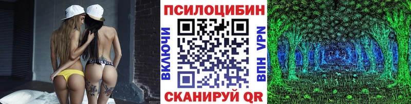 Галлюциногенные грибы Psilocybe  Котельнич 