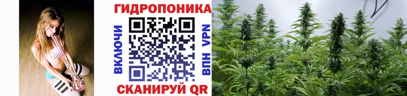 закладки Котельнич Канабис LSD WEED
